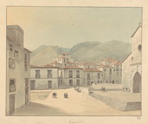 Funchal, Madère : Une Place avec une Église
