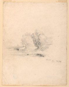 Ruisseau et arbres