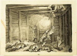 Chasse au loup en Russie