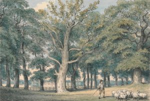 Paysage de parc avec berger et moutons