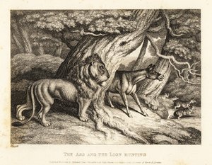 Un âne brait fort à la proie en chassant avec un lion