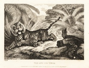 Un renard observe un tigre blessé. 1811