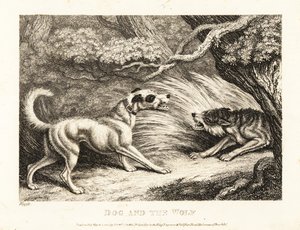 Un chien de maison avec un collier offre de la nourriture à un loup affamé. 1811