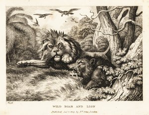 Un lion et un sanglier sauvage se battent tandis que des vautours tournent au-dessus. 1811