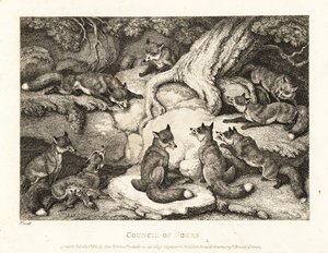 Une meute de renards se réunit dans une forêt. 1811 (eau-forte) - Samuel Howitt