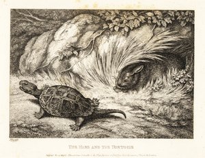 Une tortue dépasse un lièvre endormi dans une course