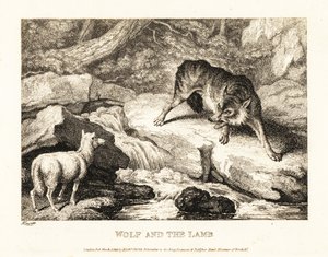 Un loup essayant de justifier le meurtre d