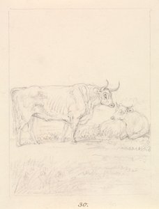 Taureau et vache - Samuel Howitt