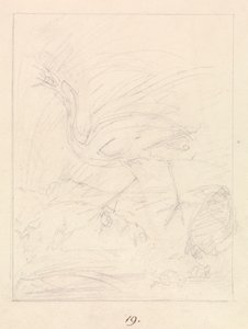 Grue et grenouilles - Samuel Howitt