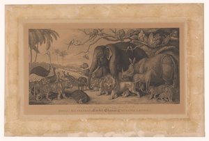 Animaux exotiques de la ménagerie royale à la Strand, Londres (Royal Menagerie, Exeter Change, Strand, London)
