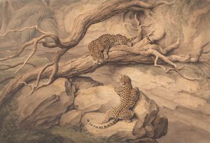  - Samuel Howitt