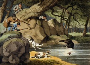 Chasse à l