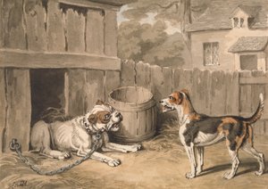 Le chien espiègle