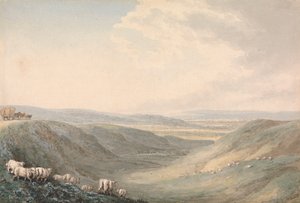 Paysage de vallée avec moutons