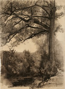 Paysage avec grand arbre, 1884 - Samuel Isham