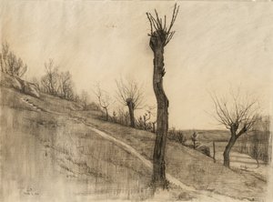 Paysage de fin d