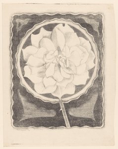 Rose (en cercle, avec bord ondulé)