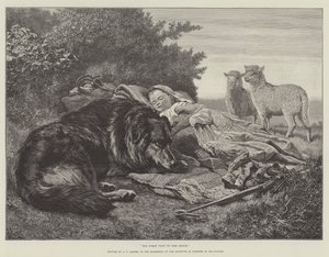 Sa première visite au troupeau, dans l