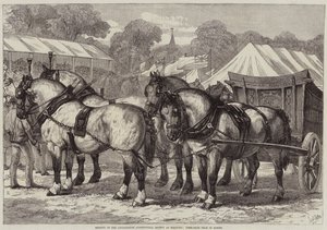 Réunion de la Société Agricole du Lincolnshire à Sleaford, équipe de chevaux primée