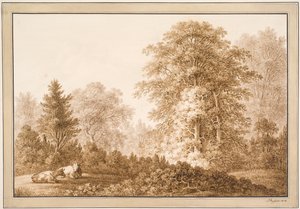 Paysage forestier avec deux vaches couchées