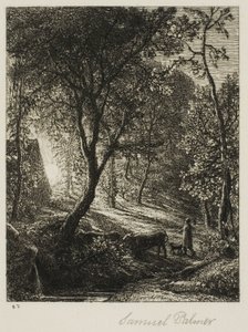 Coucher de soleil