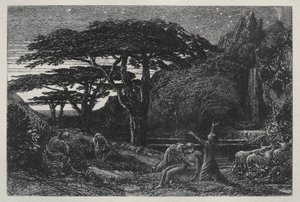 Le Bosquet de cyprès, 1883