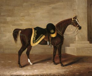 Copenhague, le cheval du duc de Wellington à Waterloo