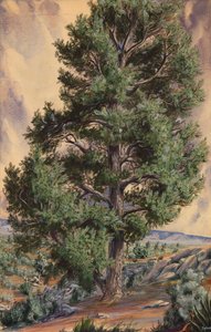 Pin, n.d.
