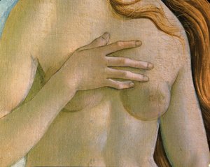 La naissance de Vénus