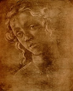 Tête féminine