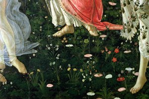 Primavera : détail des fleurs