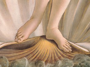 La naissance de Vénus - Sandro Botticelli