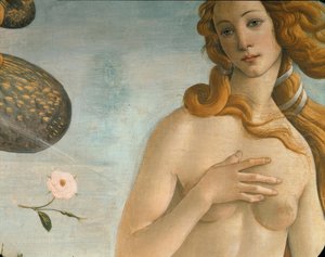 La Naissance de Vénus (Vénus Anadyomène)