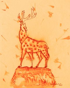 Le majestueux cerf tacheté - Santhosh ch