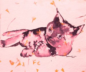 Un chaton rose espiègle - Santhosh ch