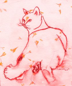 Le chat rouge qui regarde en arrière - Santhosh ch