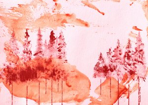 Sérénité de la forêt rouge - Santhosh ch