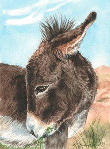 Bashful, 2024 (Aquarelle sur papier)