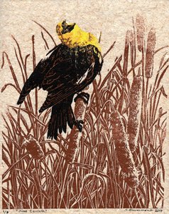 Cantate de quenouilles, 2017 (Linogravure) - Sarah Drummond