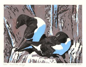 La corniche du pingouin, 2014 (Linogravure) - Sarah Drummond