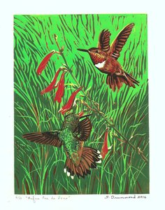 Rufus Pas de Deux, 2016 (Linocut )