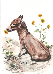 Stop and Smell the Flowers, 2024 (aquarelle sur papier)