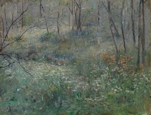 Persil sauvage, 1900