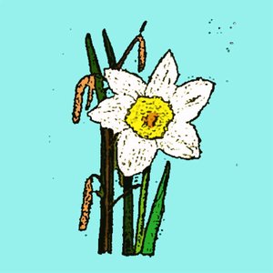 Jonquilles, 2015 - Sarah Thompson Engels