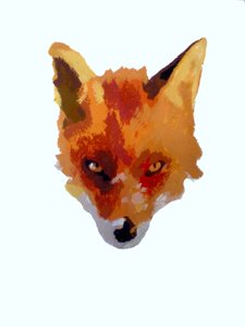 Visage de Renard