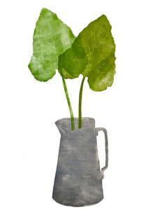 Pichet gris avec feuilles - Sarah Thompson Engels