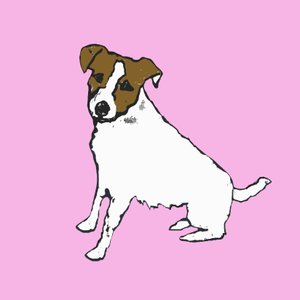 Jack Russell, 2014