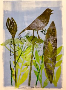Oiseau chantant