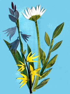 Fleurs de printemps, 2018