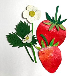 Fraises, 2019